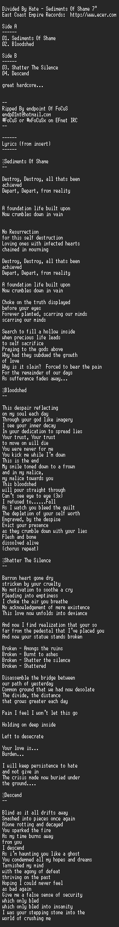 NFO file for Divided_By_Hate_-_Sediments_Of_Shame-FCS